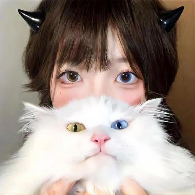 贵族